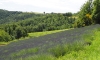 Agriturismo SassiBianchi Panorama